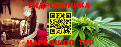 ГАЛЛЮЦИНОГЕННЫЕ ГРИБЫ Кингисепп